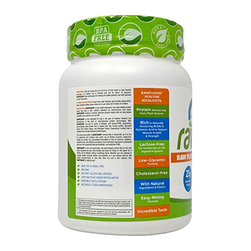 Rawfusion- Vegan Protein Powder, Peanut Chocolate Fudge - 21g of Plant Based Protein
