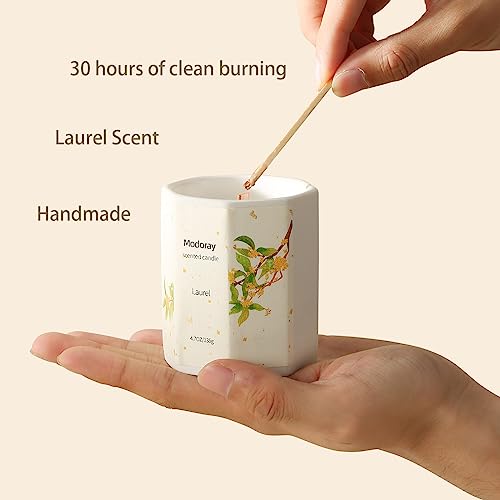 Modoray Scented Candle, Candles for Home Scented, Aromatherapy Candle,Long Lasting Natural