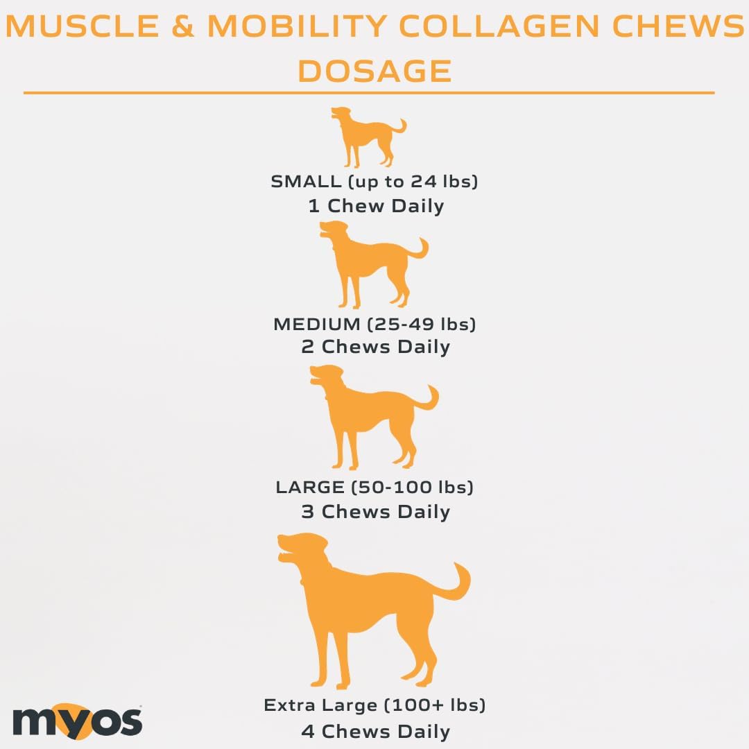 MYOS Canine Muscle & Mobility Chews – Collagen & Glucosamine for Dogs - Bacon Flavor Joint Supplement for Muscle, Bone & Joint Support, 60 Count