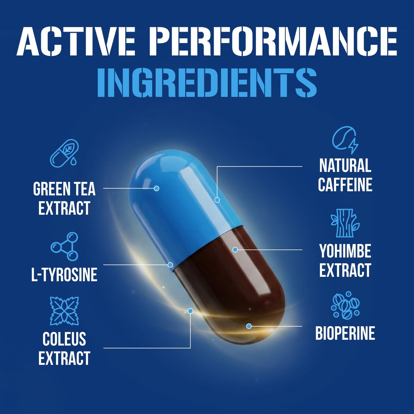 EVL Thermogenic Fat Burner Support - Fast Acting Weight Loss Energy and Appetite Support - Trans4orm Green Tea Supplement for Men and Women - 60 Servings