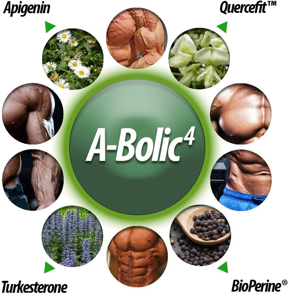 True Nutrition - A-Bolic4 Advanced Anabolic Boost Supplement | Support Healthy Anabolic Growth Naturally with Turkesterone, Apigenin, Quercefit™ Quercetin | 120 Capsules