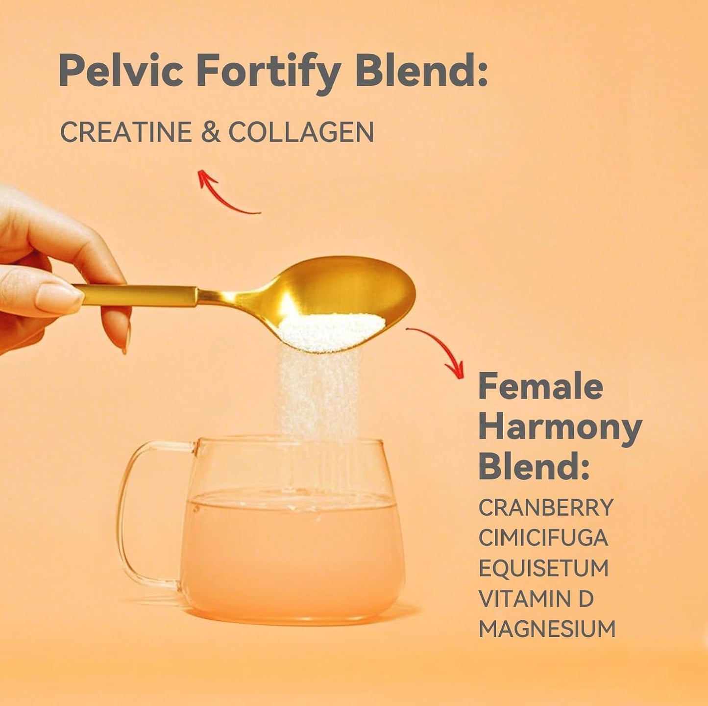 Gynable Vaginal probiotic and Bladder Control Supplement for Women Bundle