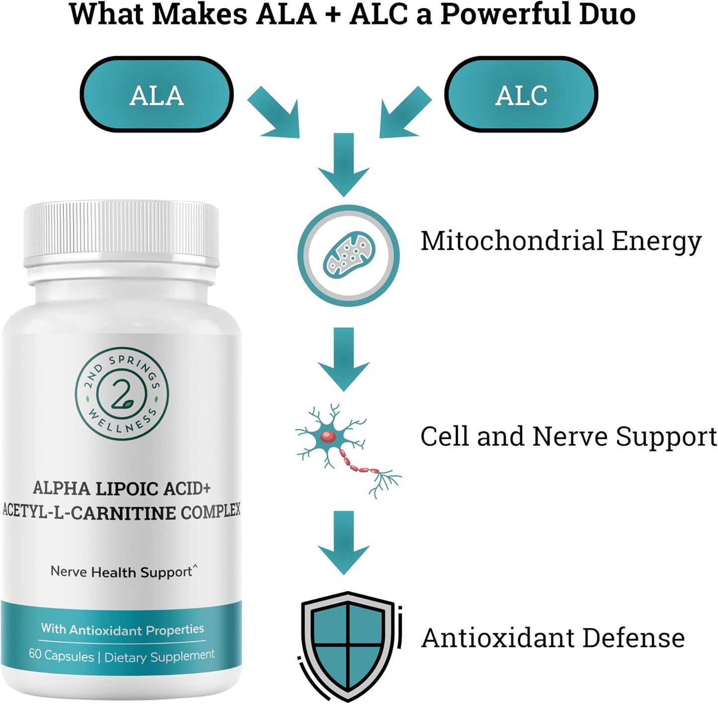 ALA & ALC Complex + 7 Mushroom Complex Bundle | Energy, Focus, Cognitive Support, Immunity, Metabolism & Daily Vitality