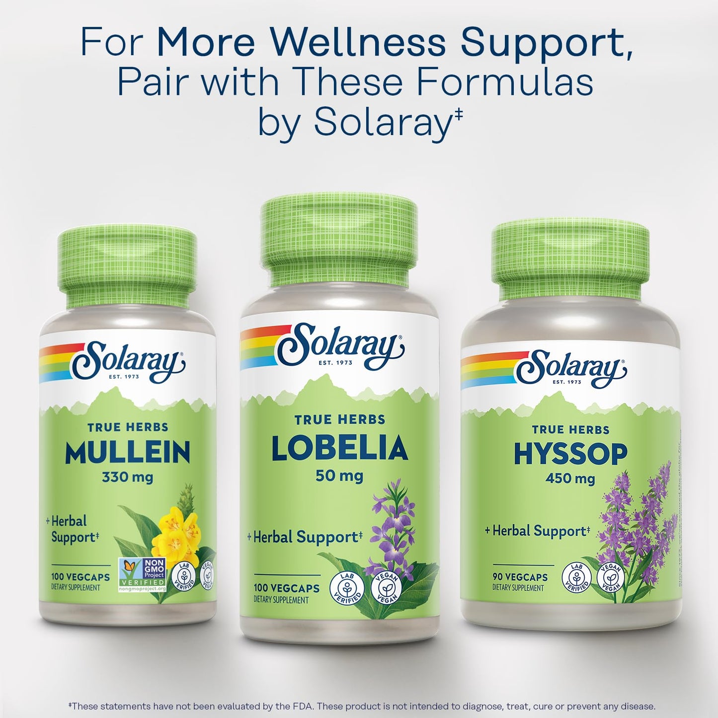 SOLARAY Mullein Leaf 330 mg - Soothing Herbal Support - Mullein Capsules Traditionally Used to Support Health and Wellness - Vegan, Non-GMO, Lab Verified, 60-Day Guarantee, 100 Servings, 100 VegCaps