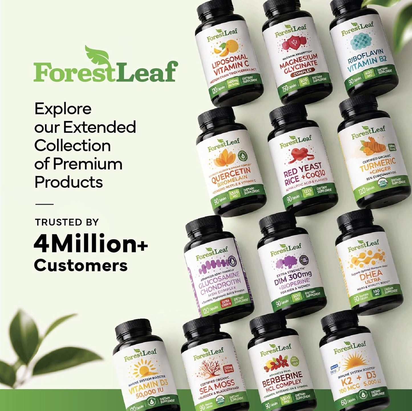 ForestLeaf Berberine Supplement - 1300mg per Serving - Ultra High Potency Berberine HCl with Ceylon Cinnamon, Bitter Melon & Gymnema - GLP-1 Weight Management Support - 90 Caps