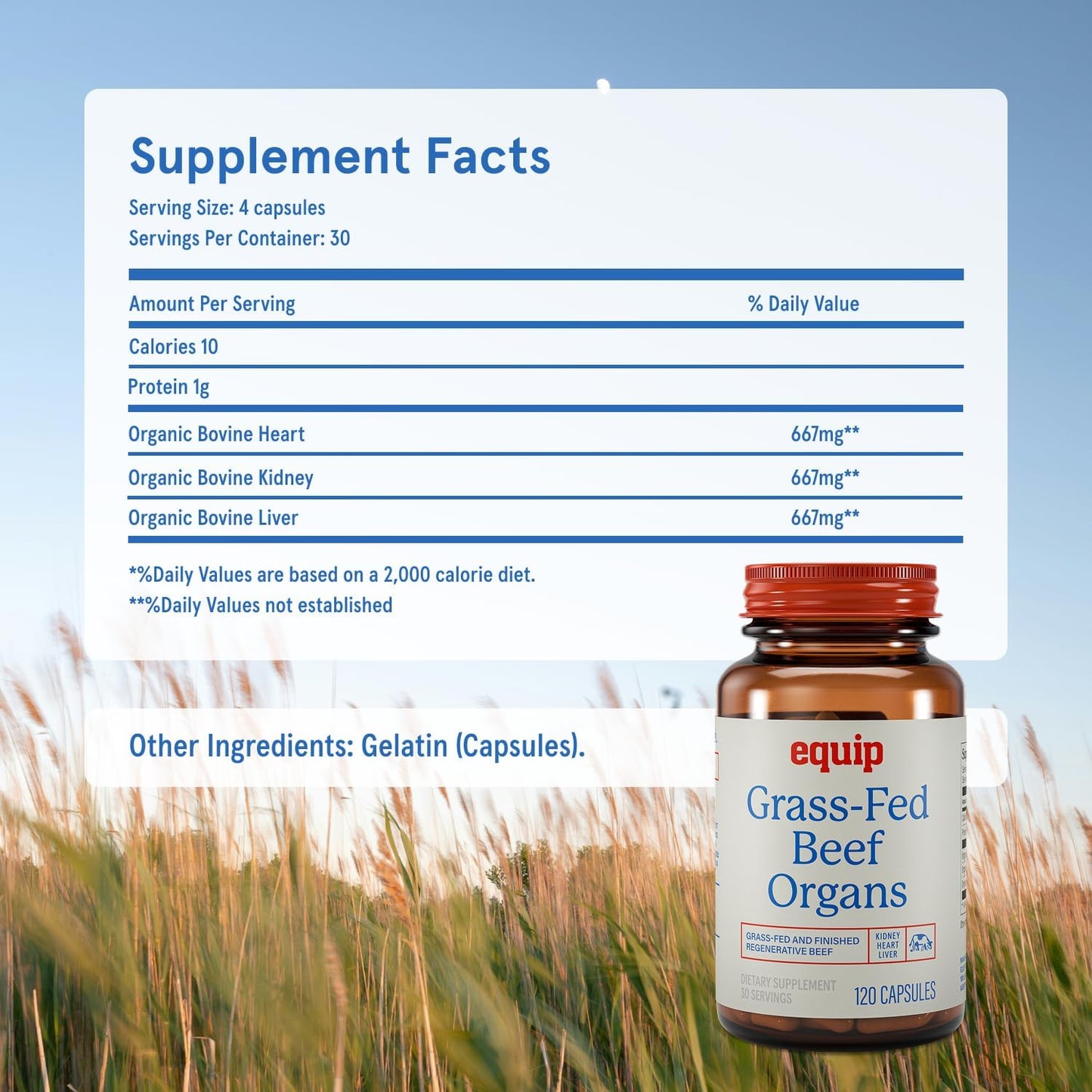 Equip Grass-Fed Beef Organs - Regenerative Freeze Dried Beef Liver Capsules - Includes Kidney & Heart - Natural Multivitamin Organ Supplements to Support Energy, Immunity & Heart Health (30 Servings)