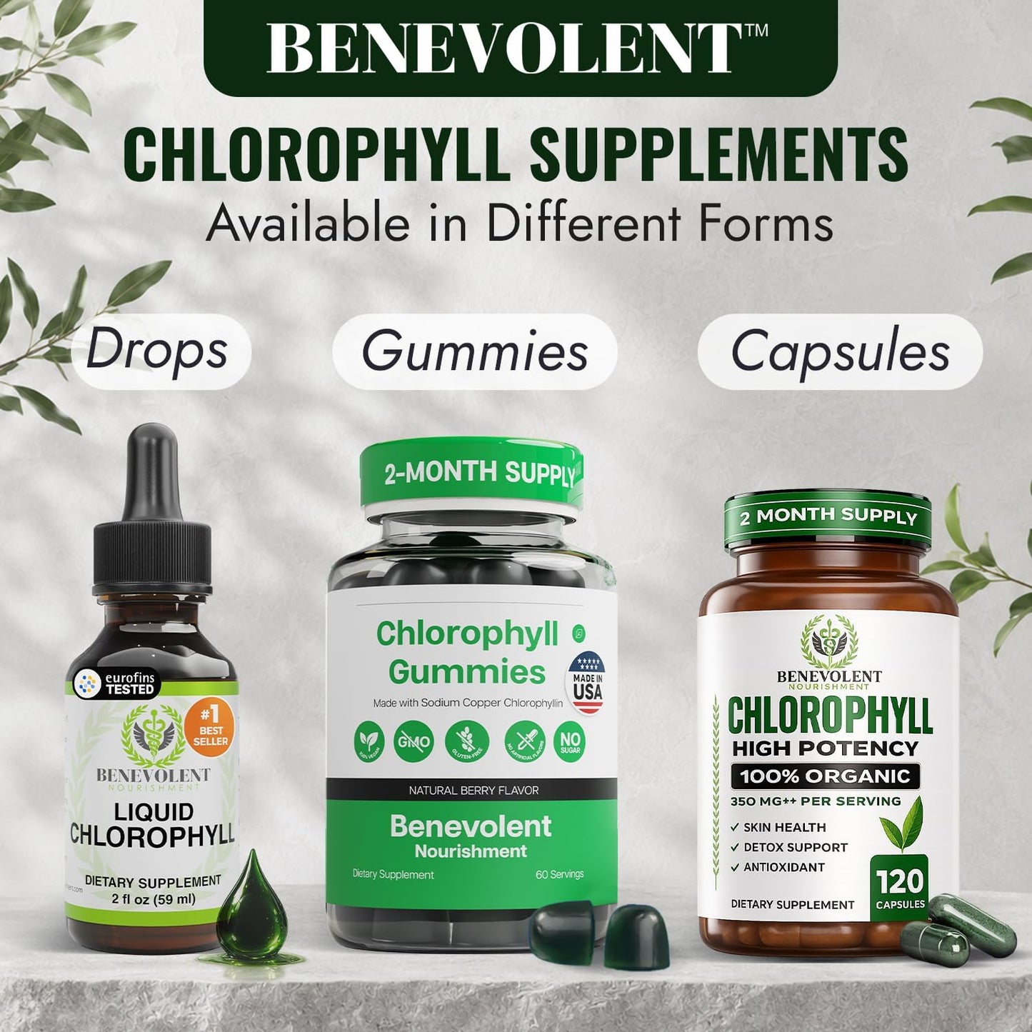 Chlorophyll Capsules 350mg – High Potency Sodium Copper Chlorophyllin Supplement for Internal Freshness, Detox, Digestion, Immune & Skin Health – Easy to Swallow – Made in USA – 120 Vegan Cap