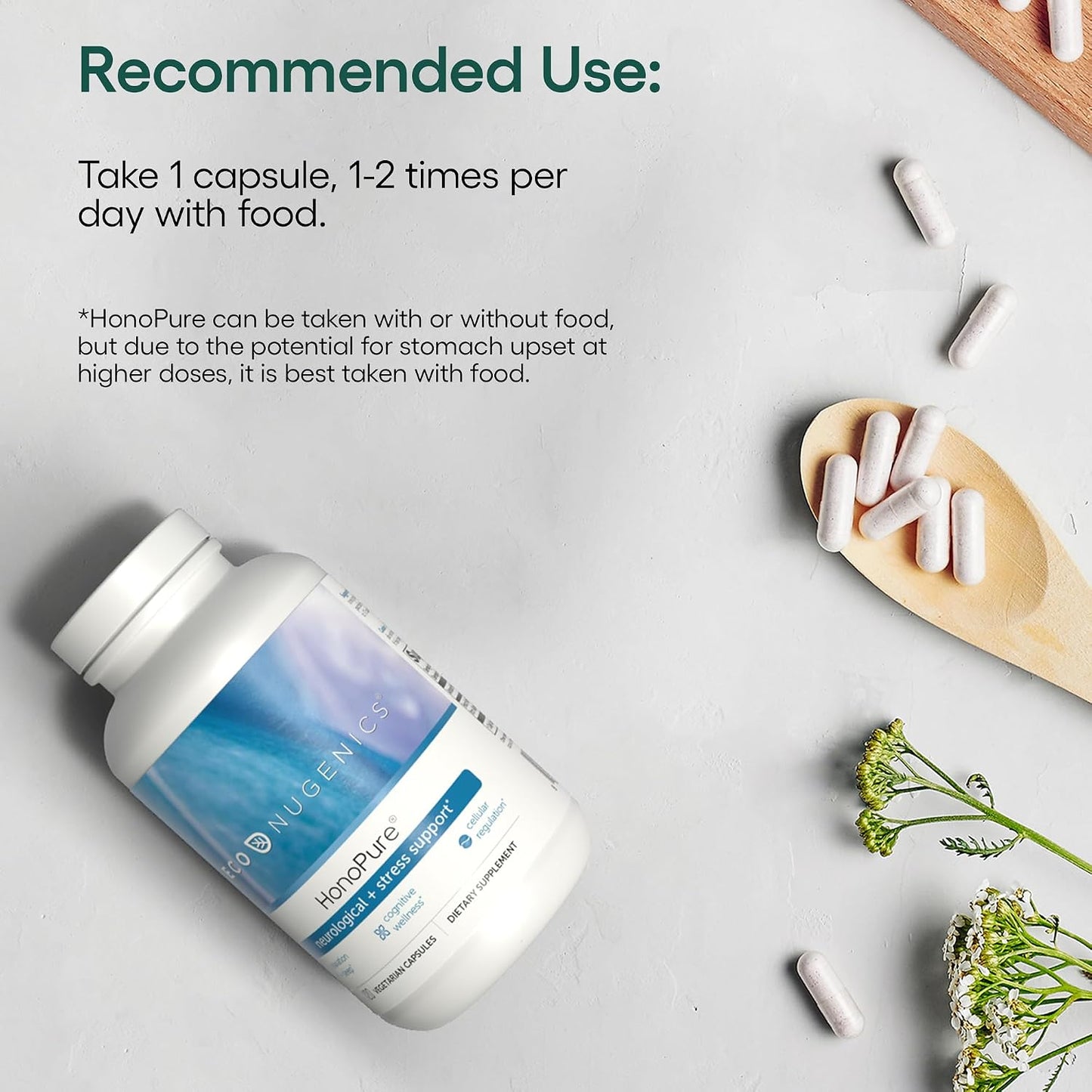 ecoNugenics Brain Health Supplement Bundle – PectaSol Modified Citrus Pectin Fiber + HonoPure Magnolia Bark Extract — Nootropic Pack for Sleep, Stress Relief, Cognitive Function, GABA Support