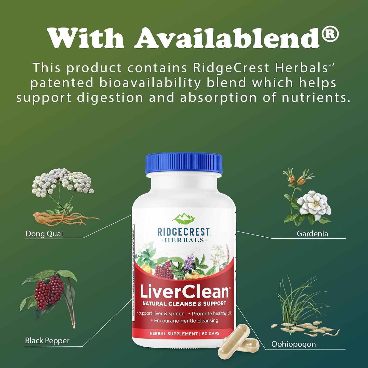 RidgeCrest Herbals LiverClean Herbal Liver Support Formula 60 Ct | 30 Servings, Blessed Thistle, Dandelion Root, Supports Healthy Bile Production, Natural Herbal Blend, Vegan Capsules