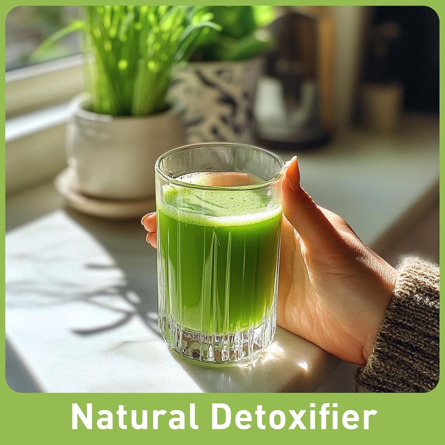UNLEASH'D ORGANIC Organic Wheatgrass Juice Powder 16oz – 100% Pure Superfood, Immune & Energy Boost, Detox Support