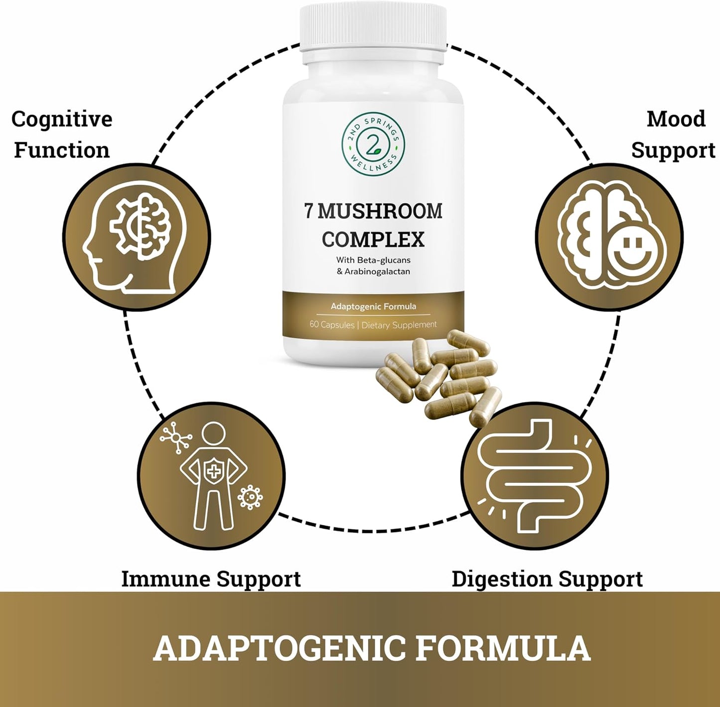 Brain Longevity Stack - ALA & ALC Complex + Adaptogen Complex + 7 Mushroom Complex + Brain Support + Magnesium Bisglycinate Bundle | Energy, Focus, Stress Support, Immunity, Cognitive Function