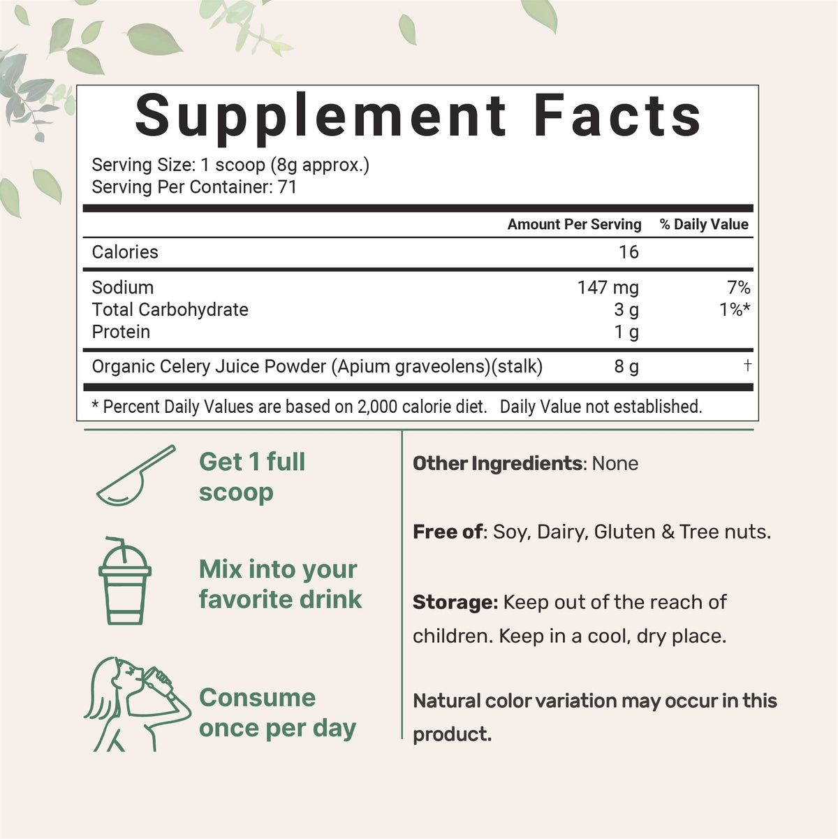 Organic Celery Juice Powder, 20 Ounce (1.25 Pound), 71 Serving, Celery Detox and Cold
