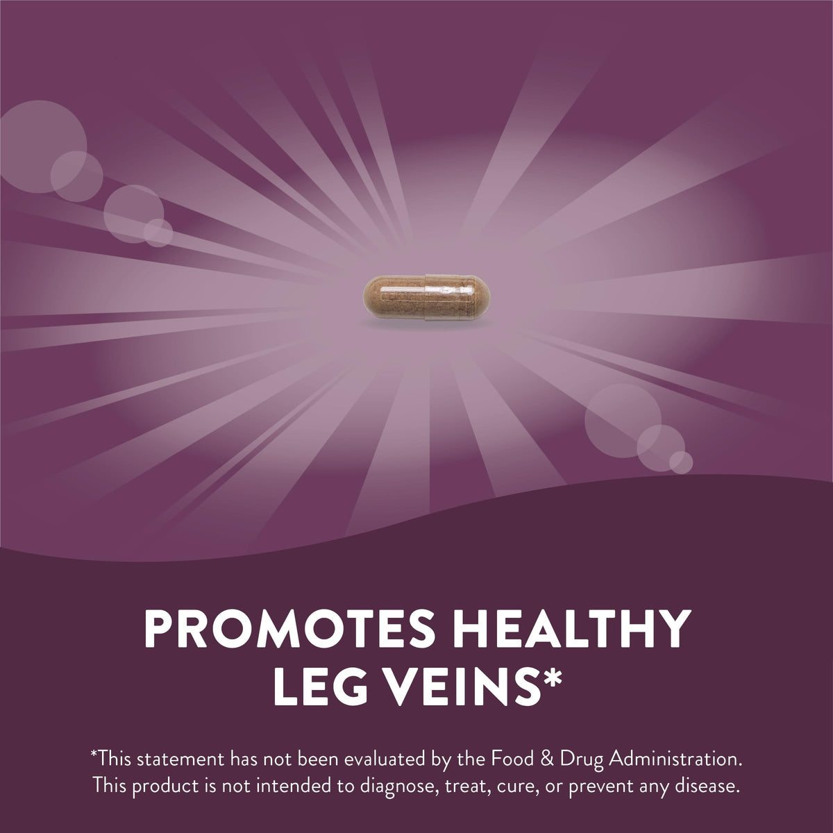 Nature's Way Standardized Horse Chestnut, Premium Extract for Healthy Veins and Blood
