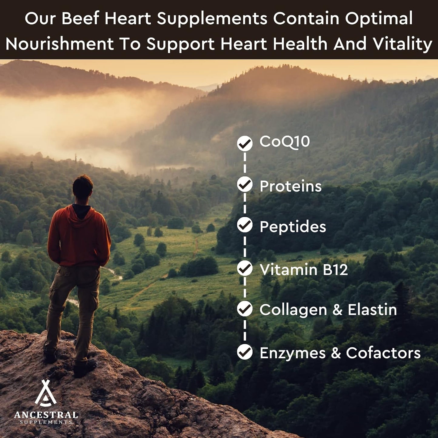 Ancestral Supplements Grass Fed Beef Heart Supplement, CoQ10, 180 Ct | A whole food heart health supplement with CoQ10 supports mitochondrial function and cardiovascular energy.