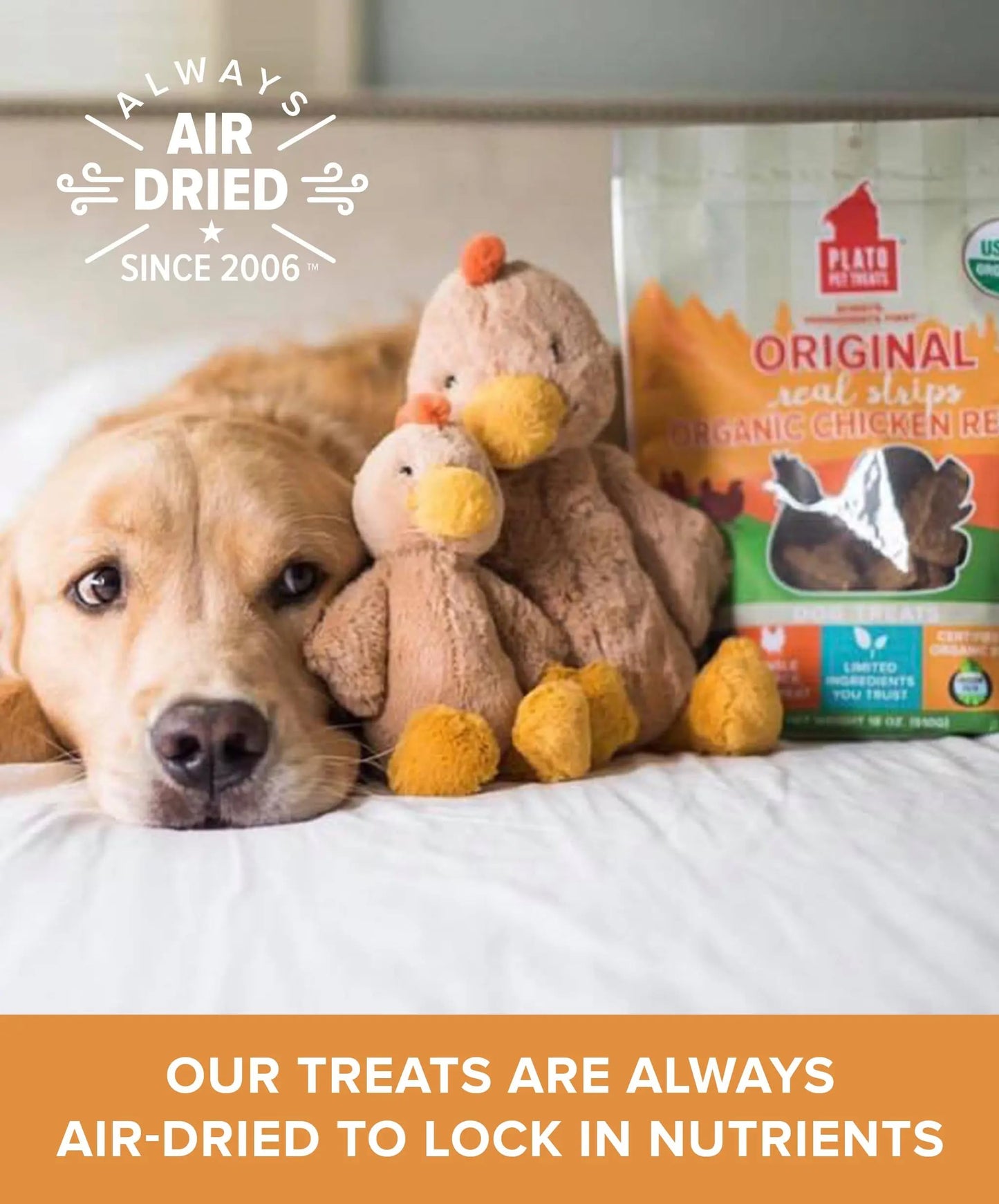 Plato Pet Treats Real Strips - Air-Dried Meat Bars for Dogs - Delicious, Limited Ingredient Dog Treats - Grain Free - Original Real Strips Turkey & Pumpkin 18oz - 2 Pack