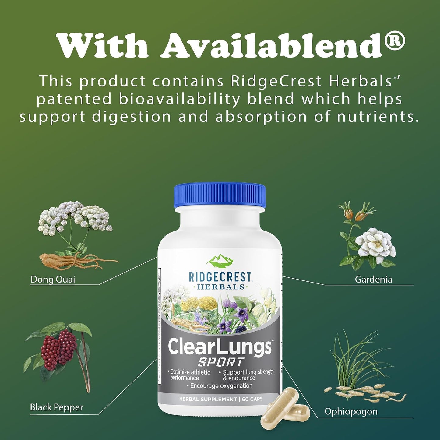 RidgeCrest Herbals ClearLungs Sport Oxygen and Lung Support 60 Ct | 30 Servings, Cordyceps, Rhodiola, Eleuthero, Natural Endurance, Stamina and Athletic Performance Support Formula