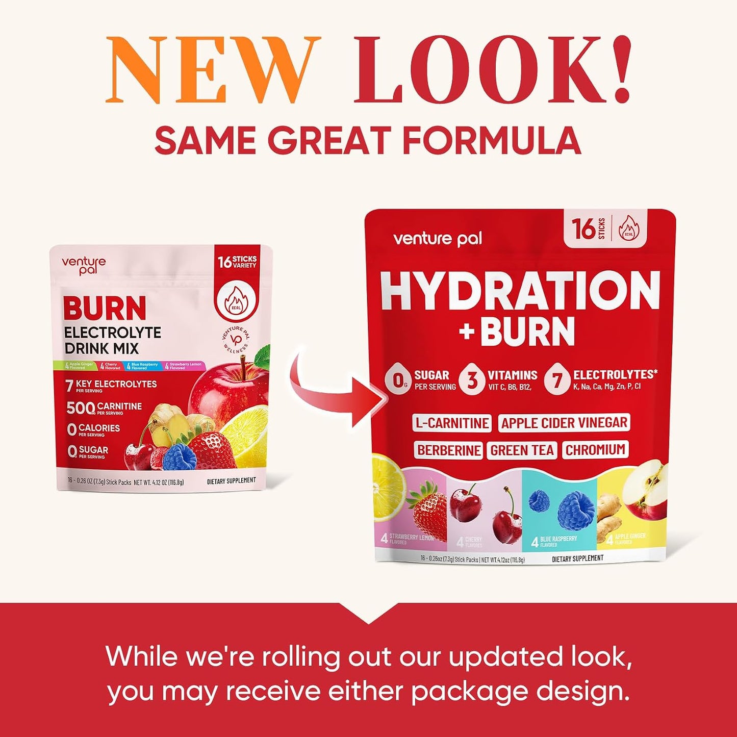 Venture Pal Electrolyte Packets + Burn Support, Sugar Free, 16 Sticks | 7 Electrolytes + L-Carnitine, Berberine, ACV, Chromium, Green Tea, Metabolic Support, Keto Friendly, Vegan, Liquid Daily IV