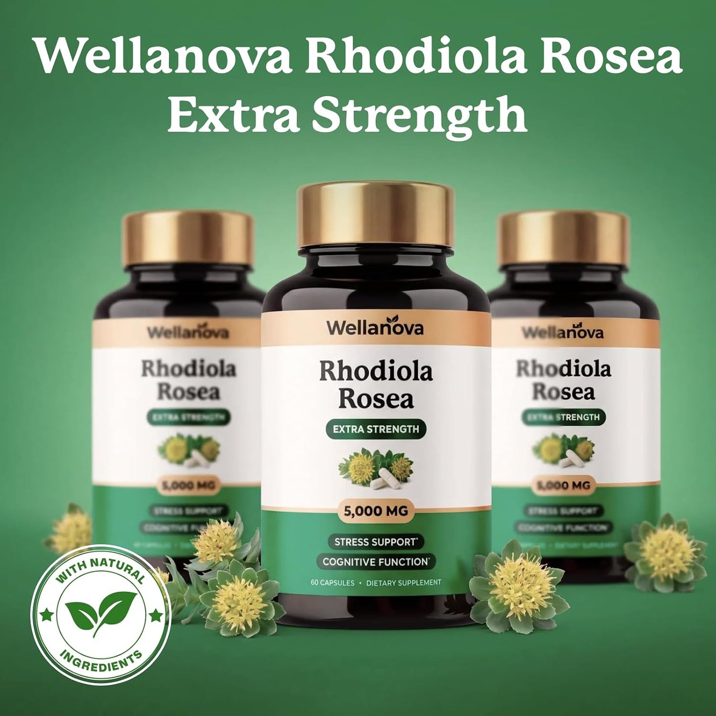 Rhodiola Rosea Supplement Capsules - Extra Strength 10:1 Root Extract 500 mg Equivalent to 5,000 mg Whole Rhodiola - Adaptogenic Herb for Stress Support & Cognitive Function - 60 Capsules
