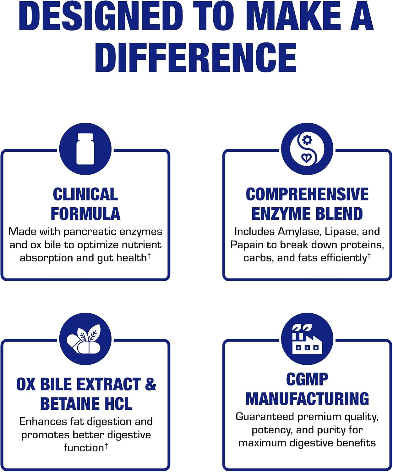 Multi Digestive Enzymes with Ox Bile Supplement - Clinical Strength Digestion Supplement with Pancreatin Pancreatic Enzymes for Protein Carb & Fat Digestive Support & Reduced Stomach Discomfort