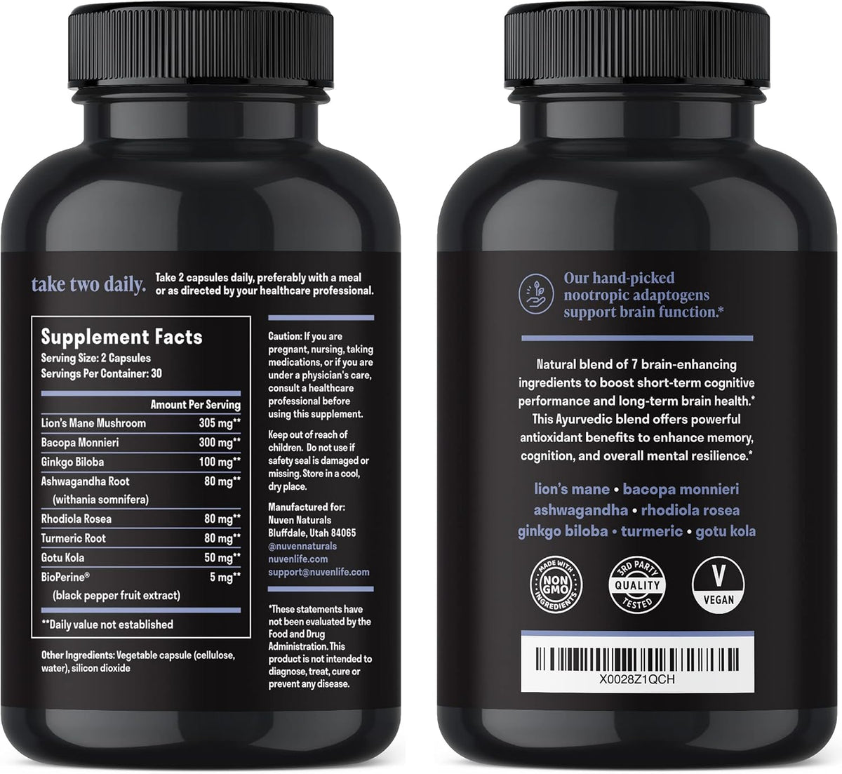 Brain Support Supplement - Natural Memory and Focus Supplement with Lion’s Mane, Ginkgo Biloba, Bacopa Monnieri & Ashwagandha Root - Natural Nootropics & Brain Booster | 60 Capsules