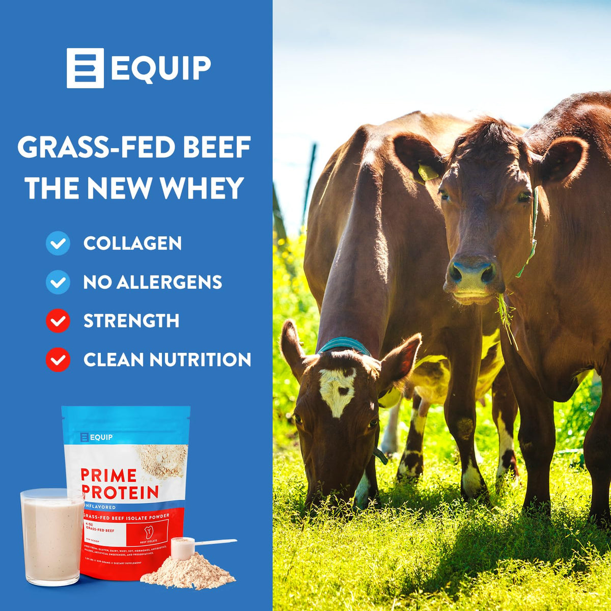 Equip Foods Prime Protein - Grass Fed Beef Protein Powder Isolate - Paleo and Keto Friendl