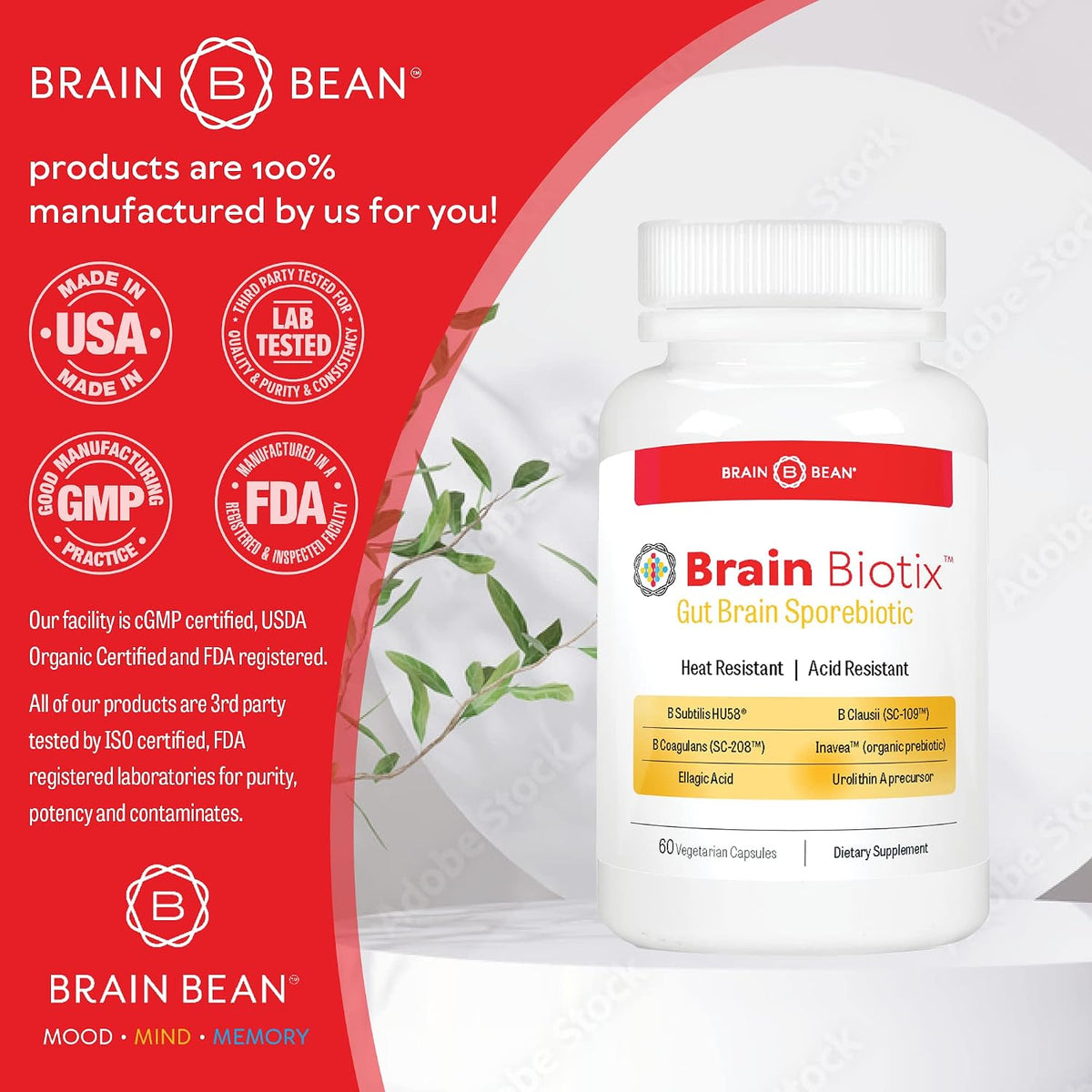 Brain Bean Brain Biotix | Gut and Brain Spore-Based Probiotic and Prebiotic | 30 Servings