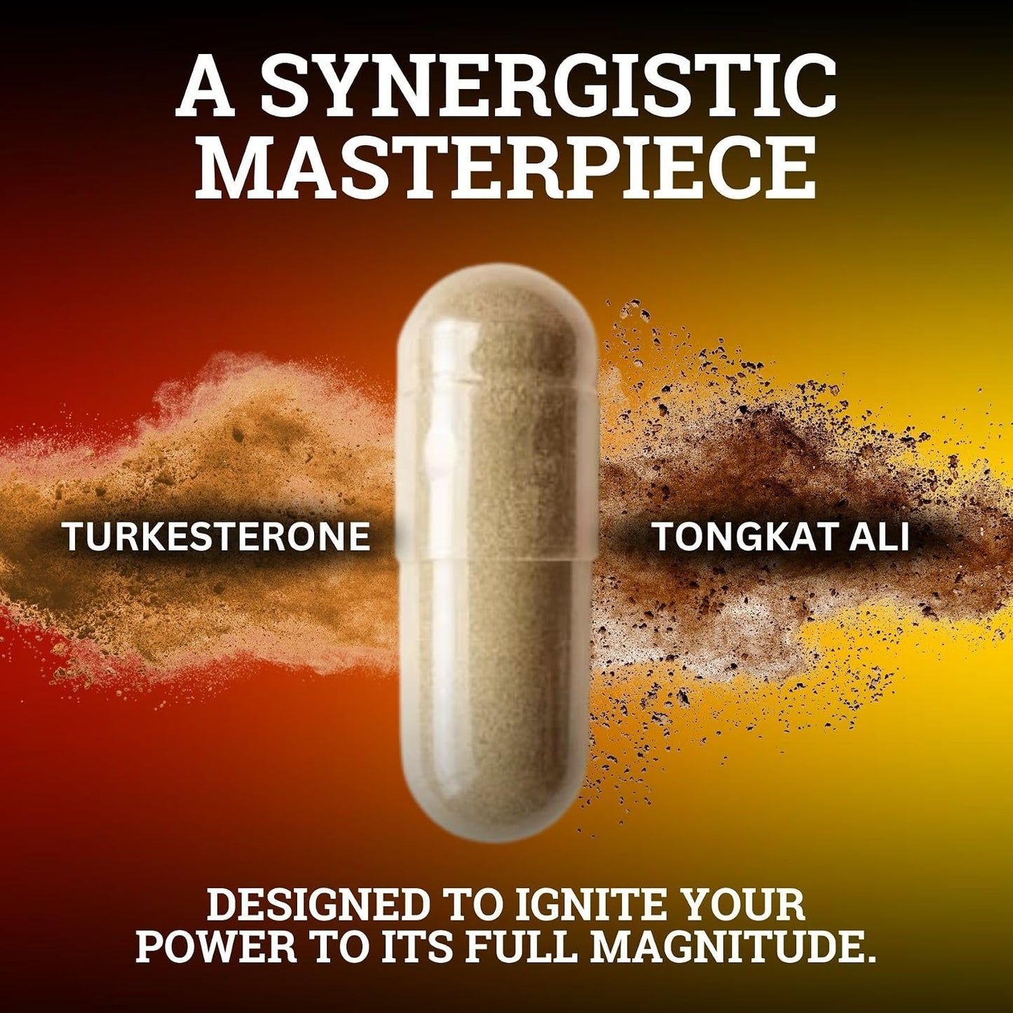 Black Forest Turkesterone Tongkat Ali Supplement 1000mg per Serving (Max Purity 95%) Turkesterone Supplement for Men (Tongkat Ali for Men Longjack 200:1) Similar to Tongkat Ali Fadogia Agrestis