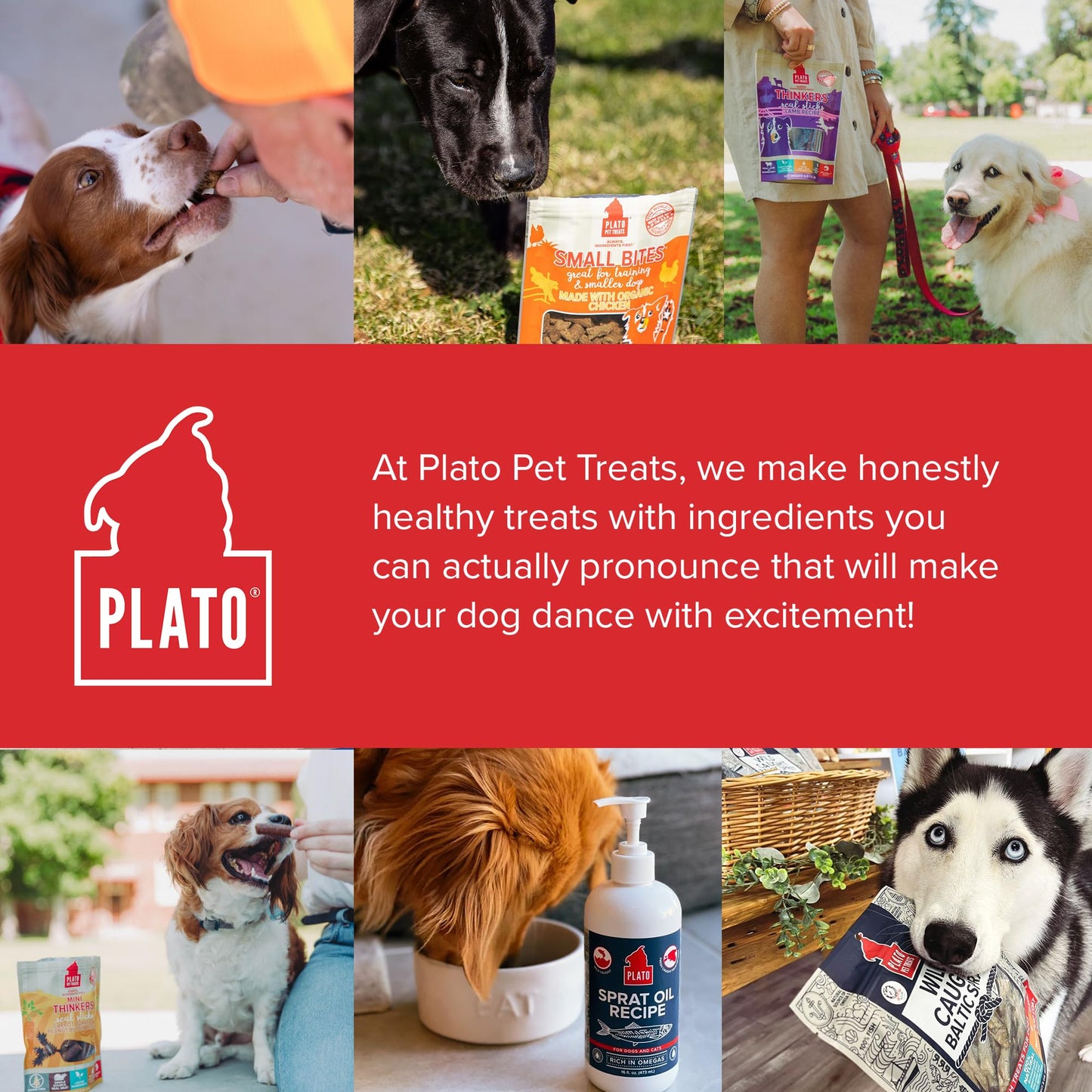Plato Pet Treats Thinkers - Meat Stick Treats for Dogs - Limited Ingredient with EPA and DHA to Support Skin, Coat, and Brain - Air-Dried - Thinkers Salmon 10oz - 2 Pack