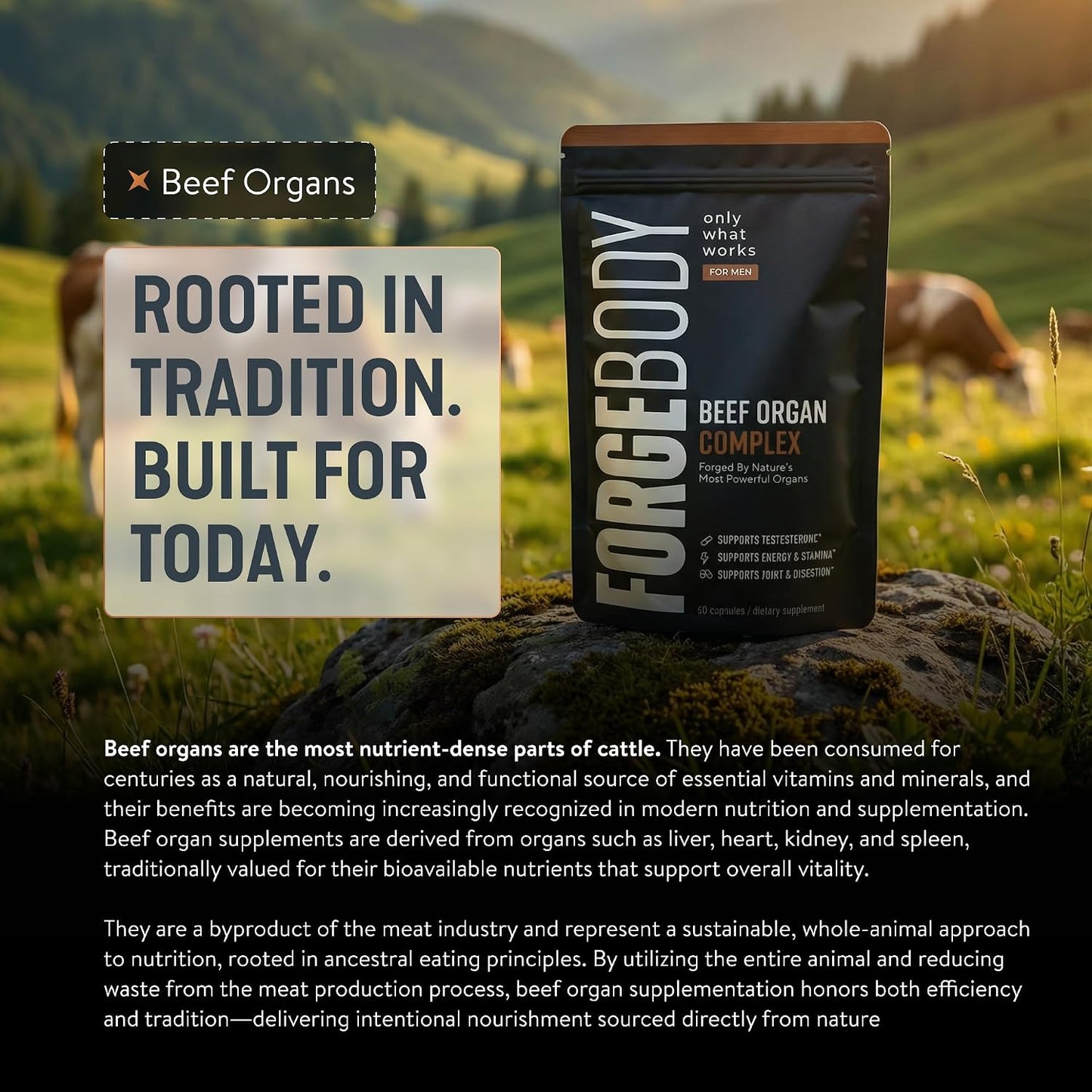 Forgebody Beef Liver & Organ Complex, Grass-Fed 5-Organ Supplement, 1 Month | Grass-fed beef liver, heart, bone marrow, pancreas, testicles, freeze-dried, non-GMO, ancestral nose-to-tail nutrition