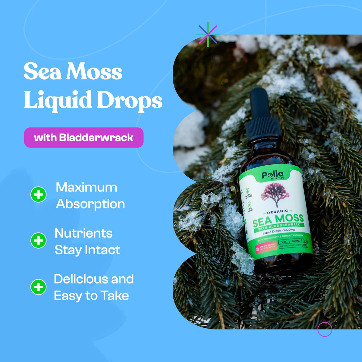 Pella Nutrition Organic Sea Moss Liquid Extract - 1000mg Irish Sea Moss, 4X Stronger Than