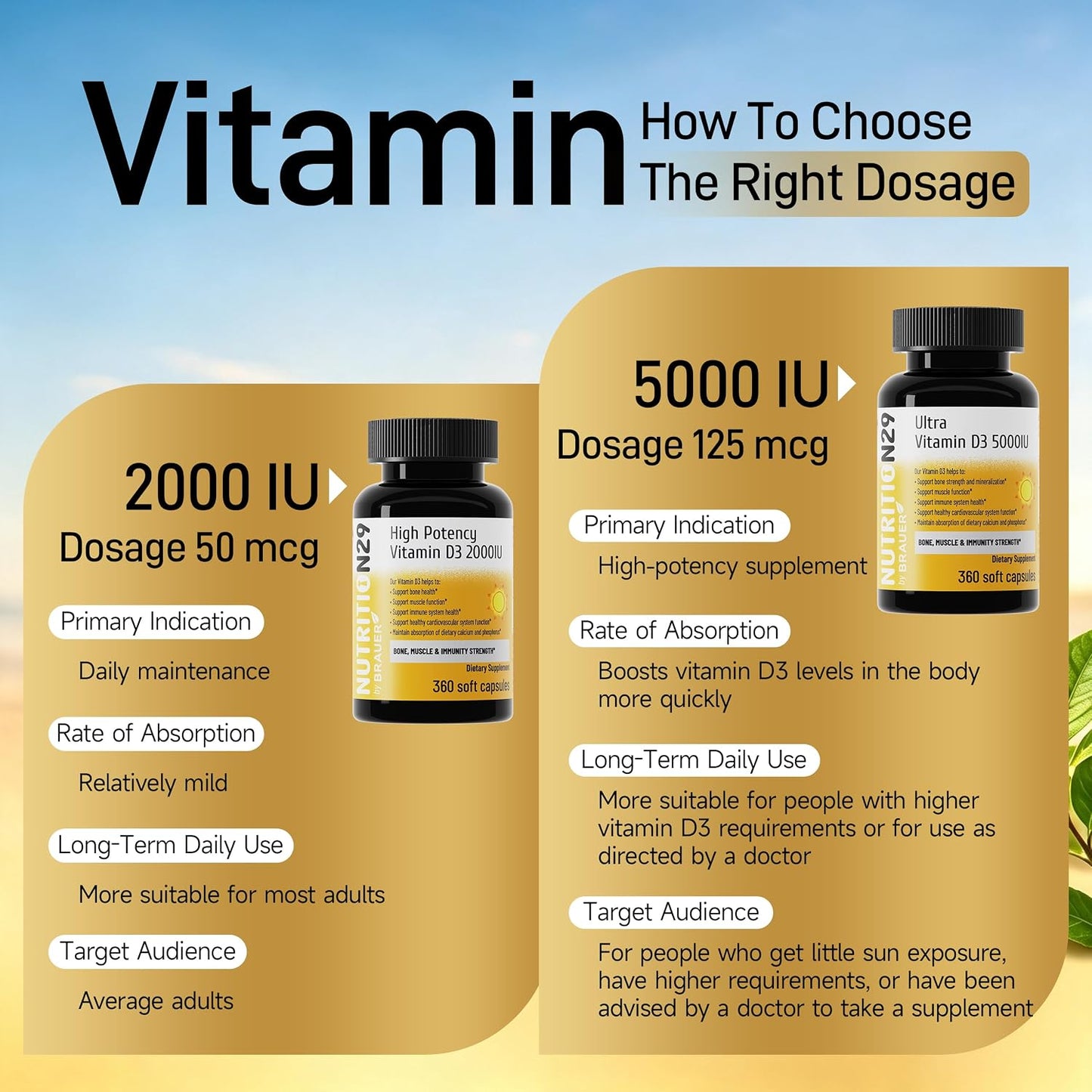 Vitamin D3 5000 IU (125 mcg),360 Day Supply Vitamin D Softgels | USP-Grade Provitas® Softgels with MCT & Olive Oil,High Potency Immune & Bone,Muscle Health Support Supplement,Non-GMO