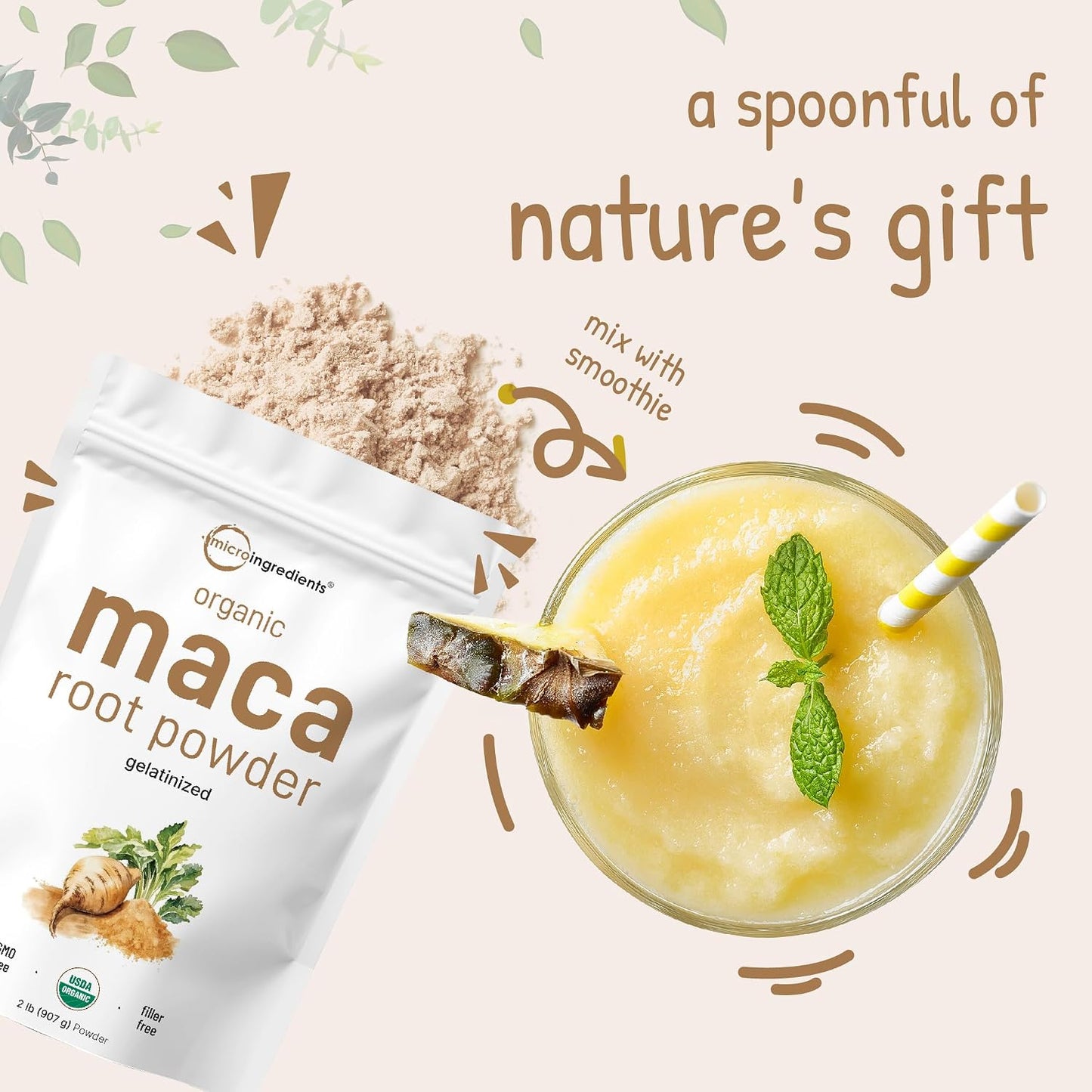Micro Ingredients Organic Maca Root Powder, 2 Pound, Gelatinized for Better Absorption, Rich in Antioxidants, No GMOs, Vegan Friendly and Peru Origin