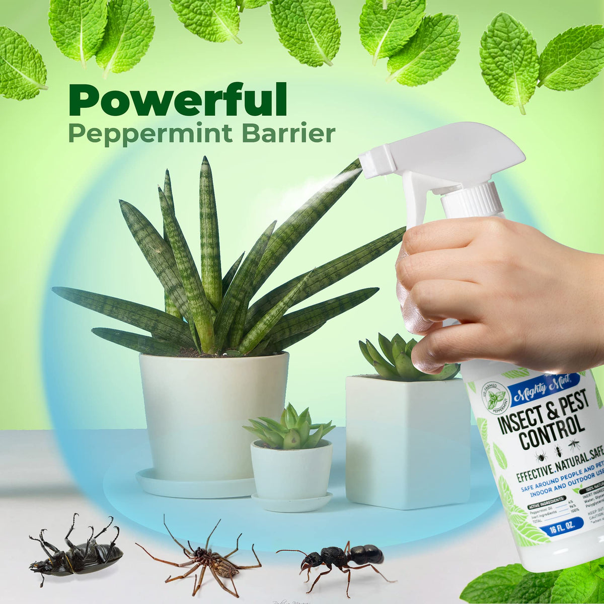Mighty Mint 16 oz Peppermint Oil Insect & Pest Spray - for Spiders, Ants