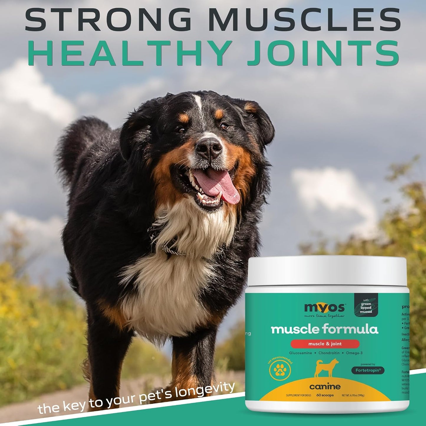 MYOS Muscle & Joint Dog Supplement with Fortetropin and Green Lipped Mussel - Dog Hip and Joint Supplement for Strength and Mobility - Glucosamine and Omega 3 for Dogs - 198g