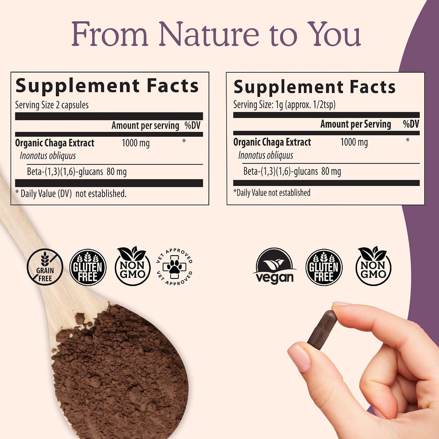 Reishi 415 Longevity Capsules (90ct), Turkey Tail Mushroom Extract Immune Support (90ct), Chaga Extract Mushroom Supplement (120 caps)