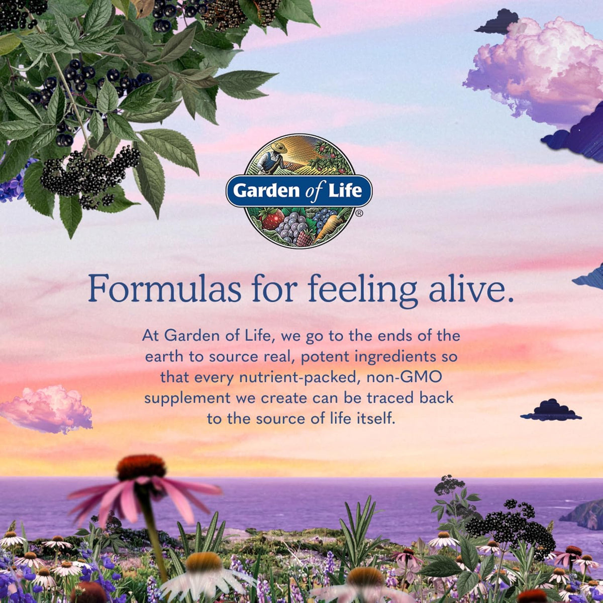 Garden of Life Organics Women 40+ Multivitamin, Vegan, 120 Tablets