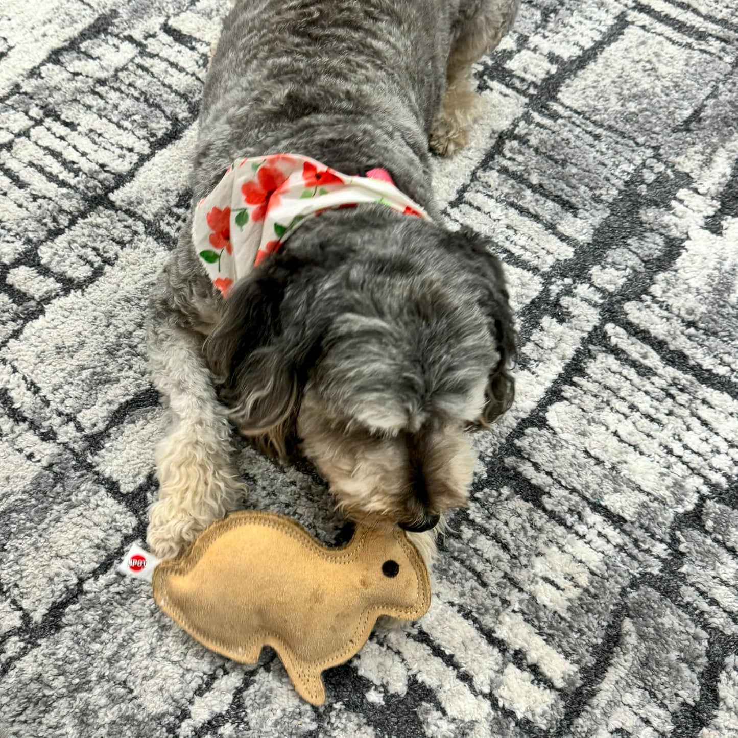 SPOT Dura-Fused Leather Rabbit Dog Toy – Durable Real Leather & Jute Chew Toy with Squeaker, Double-Stitched for Moderate Chewers, Small & Medium Dogs, 7.5in