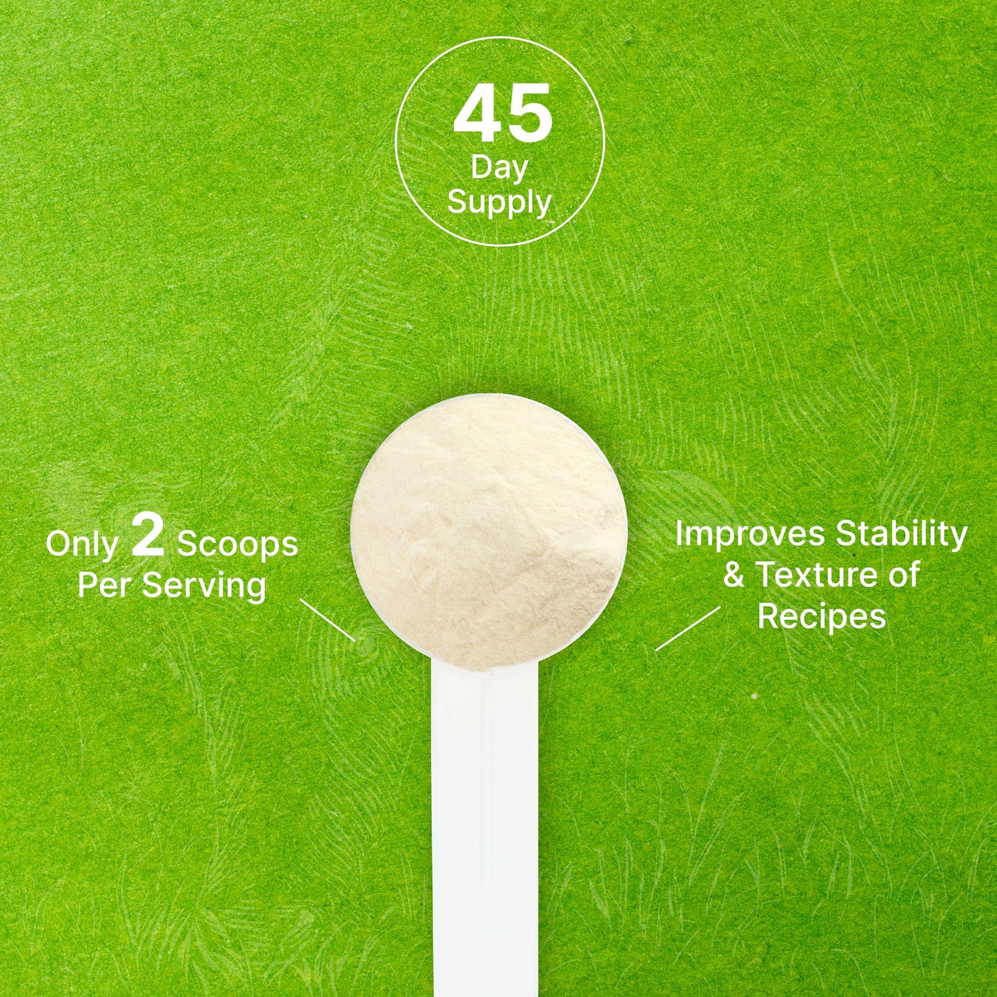 Unflavored Beef Gelatin Powder, 1lb – Grass Fed & Pasture Raised Bovine – Natural Thickener & Stabilizer for Cooking & Baking – High Collagen Protein Source – Non-GMO, Keto Friendly