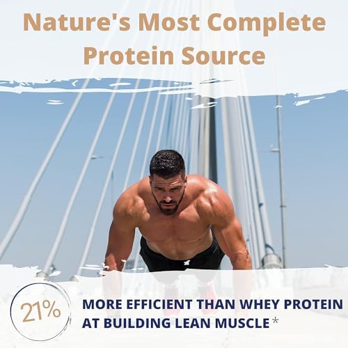 Gaspari Nutrition Proven Egg, 100% Egg White Protein, 25g Protein, Keto Friendly, Dairy