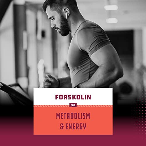 Pure Forskolin Extract for Weight Loss Supplement Powerful Antioxidant - Maximum Strength