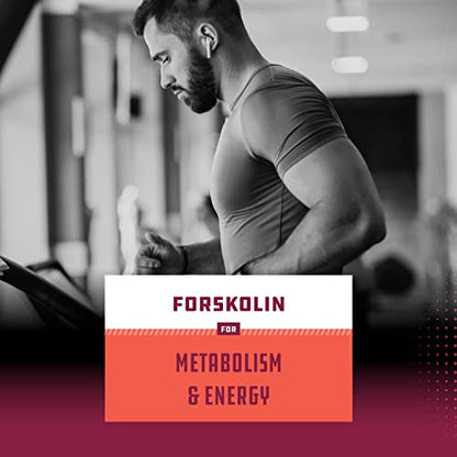 Pure Forskolin Extract for Weight Loss Supplement Powerful Antioxidant - Maximum Strength