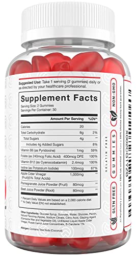 PUREFINITY Apple Cider Vinegar Gummies – Raw, Natural, Unfiltered ACV from The Mother