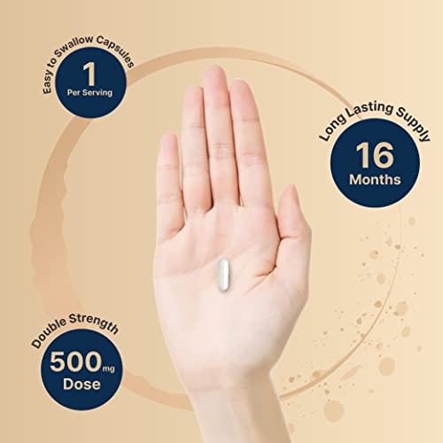 2 Pack Magnesium Glycinate 500mg, 480 Capsules – 100% Chelated for Max Absorption