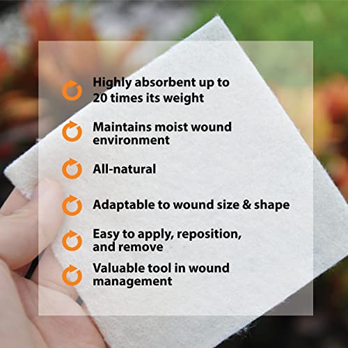 Pivot Calcium Alginate Wound Dressing – All-Natural First Aid | 4x5 Dressin