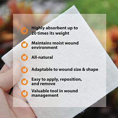 Pivot Calcium Alginate Wound Dressing – All-Natural First Aid | 4x5 Dressin