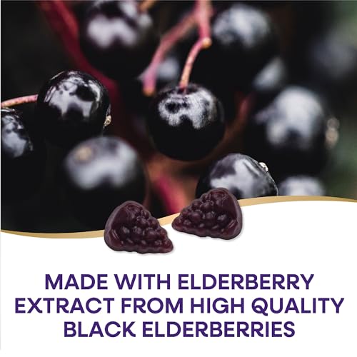 Nature's Way Sambucus Elderberry Immune Gummies, Daily Immune Support