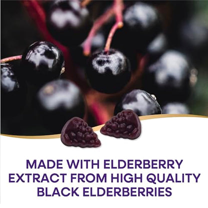 Nature's Way Sambucus Elderberry Immune Gummies, Daily Immune Support