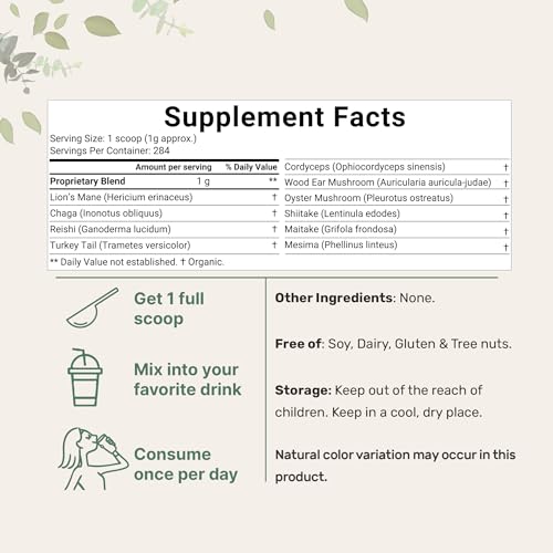 Sustainably US Grown, Organic Mega Mushroom 10 in 1 Complex Formula Powder