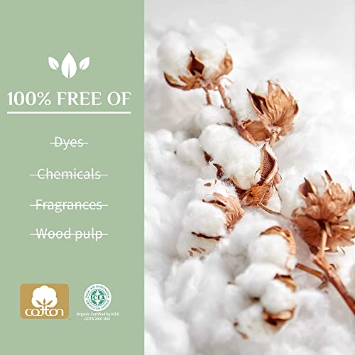 Organyc New and Improved 100% Certified Organic Cotton Overnight Feminine Pads