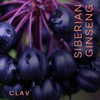 CLAV® Siberian Ginseng - 900mg Eleuthero Root Powder - Energy Supplement